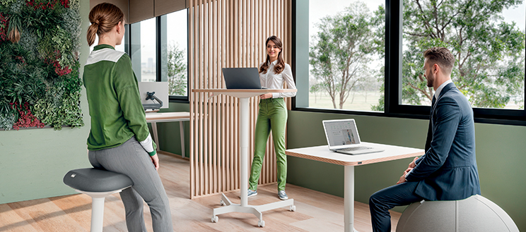 Leitz Ergo meeting room